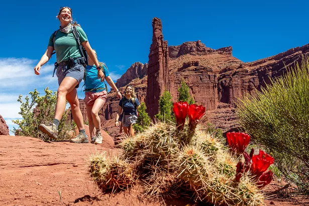 Group of people hiking on a trail with large canyons and cacti in the background