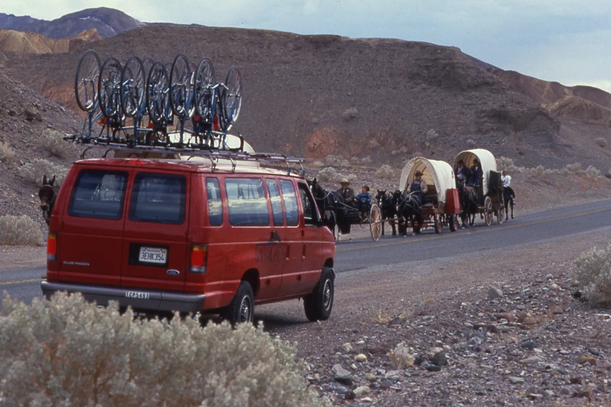 Red support van waits for cows to cross road