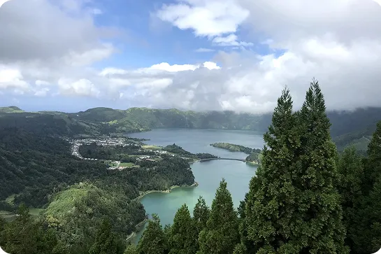 Sky view of a lake surrounded by a large forrest