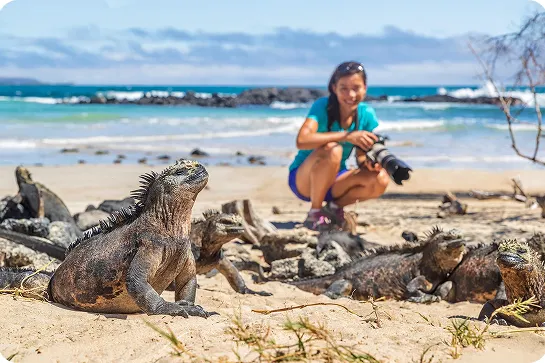 Woman holding a camera, looking at a giant iguana on the beach