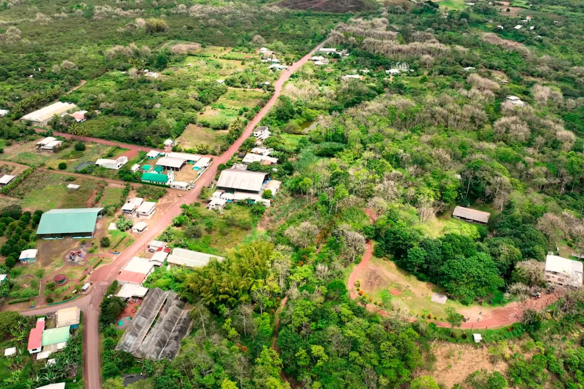 Sky view of a small village in the middle of a large field with dirt trails