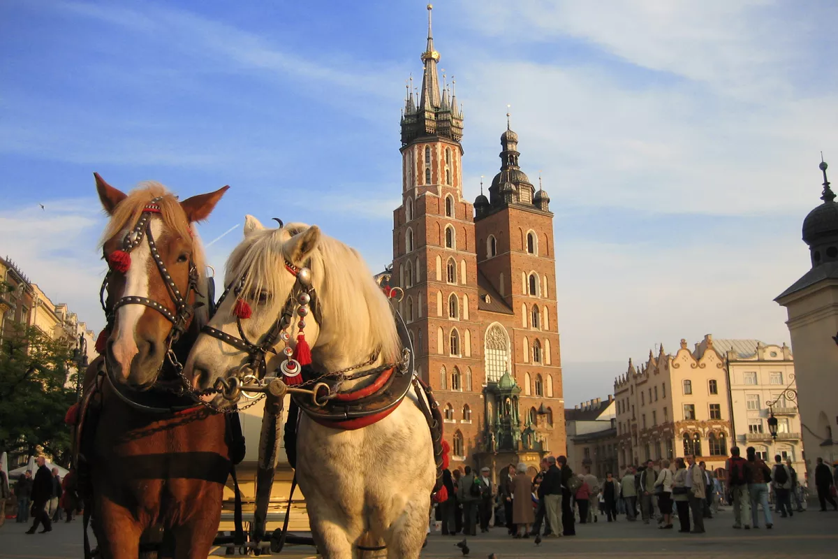 Horses pulling a carriage in front of a castle