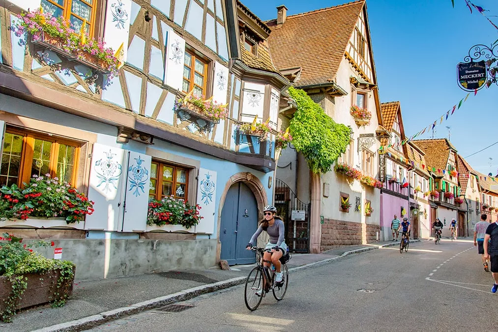 The Backroads Experience