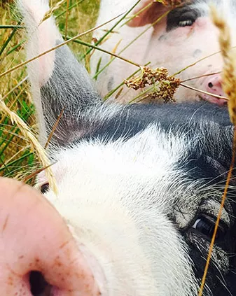 New Zealand Walking &amp; Hiking Tour