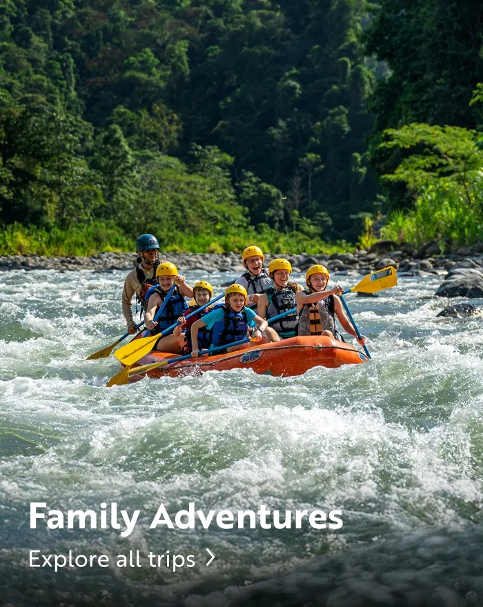 Group of people white water rafting in a river