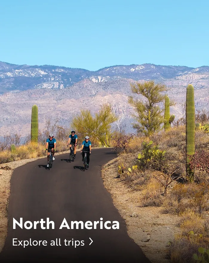 Three people biking on an empty road in a desert