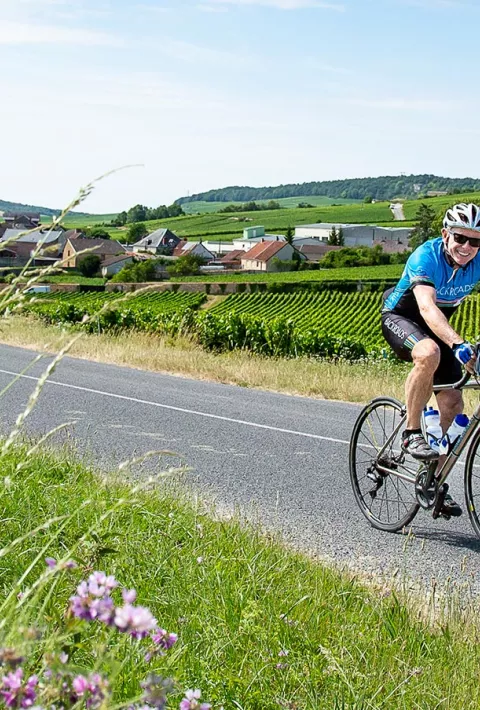 Tom Hale Biking in France among lavender flowers