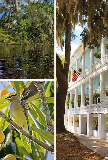 Collage of images for the Historic Underground Railroad Multi-Adventure