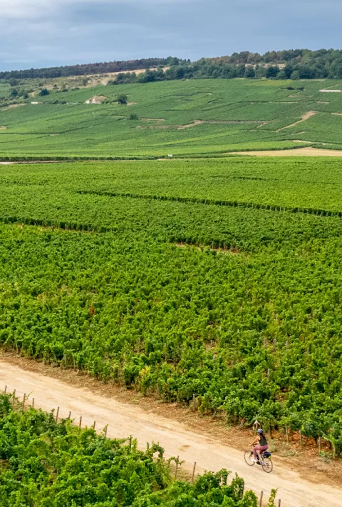 Backroads guests biking in Europe