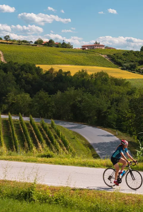 Backroads Guest biking