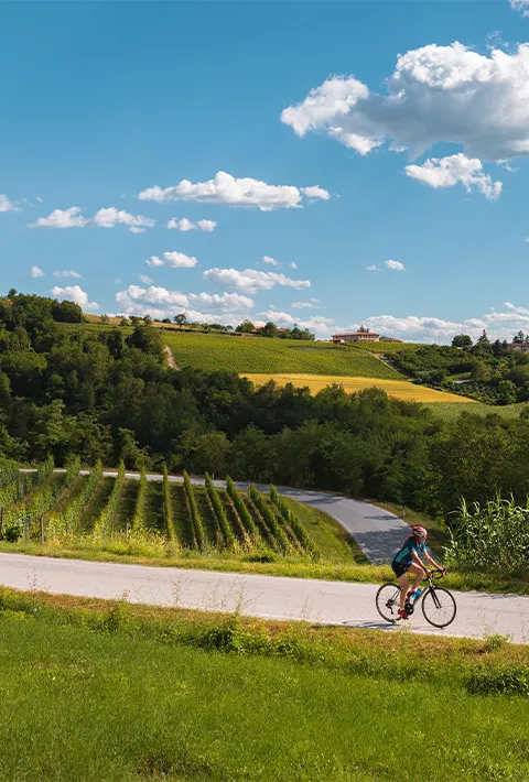 Backroads guest biking in Europe