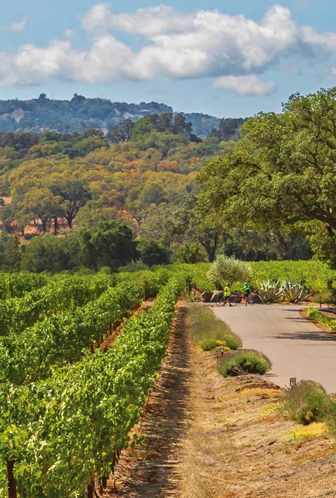 Biking in Alexander Valley, CA