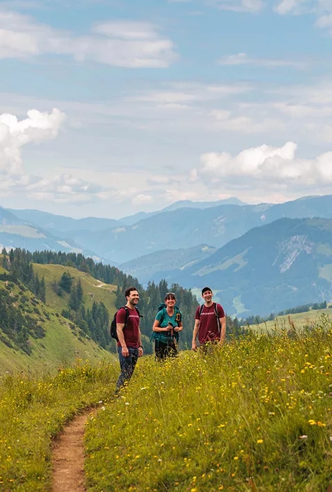 Group of hikers in the rolling green hills of Bavaria