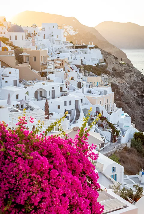 white houses built into a mountainside and pink flowers in the foreground