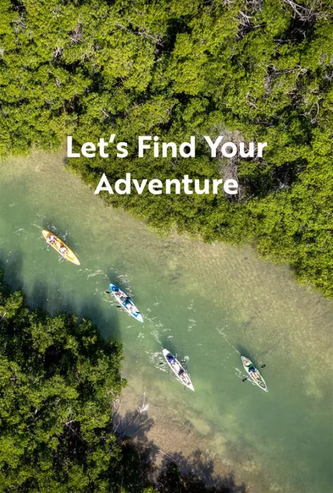 Kayaks floating along a river