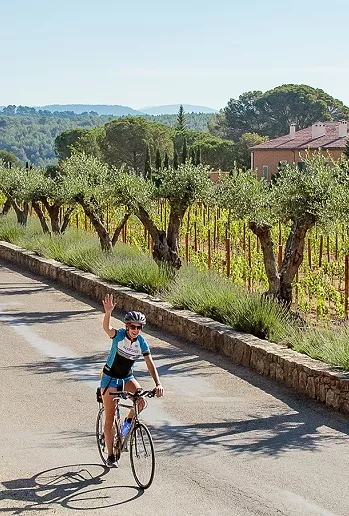 Person biking on a road with crops and trees to the right