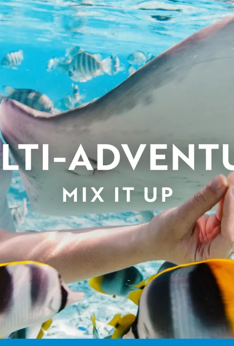 Multi-adventure desktop hero image