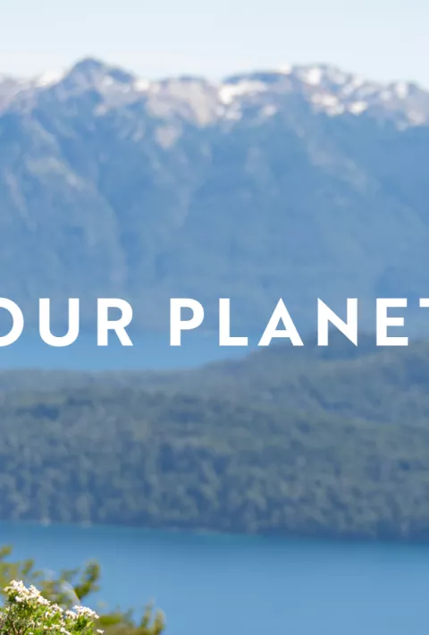 Our Planet hero