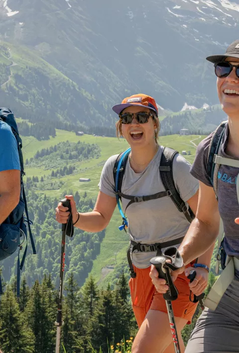 Group of hikers in their 30s &amp; 40s