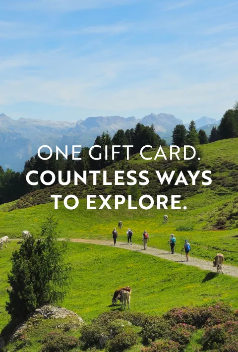 One Gift Card, Countless Ways to Explore