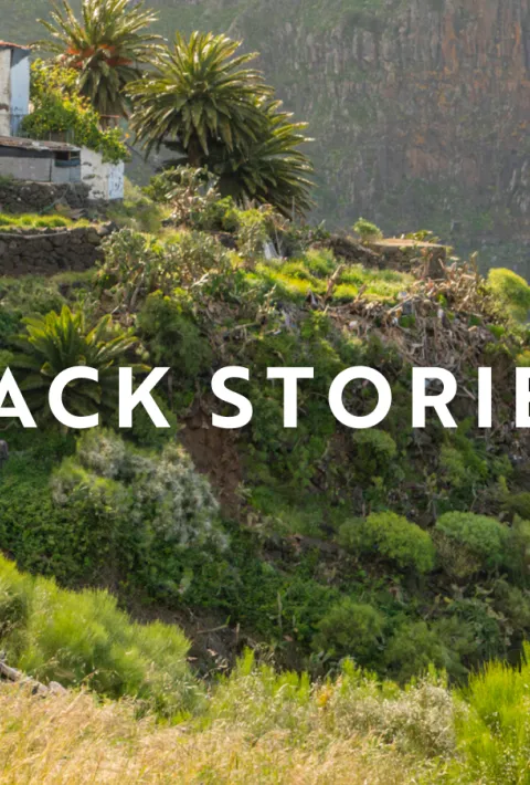 Three hikers walking along a trail on a terraced green mountain with lush vegetation with a small white cottage visible on the hillside above. Large bold white text in the center reads "BACK STORIES".