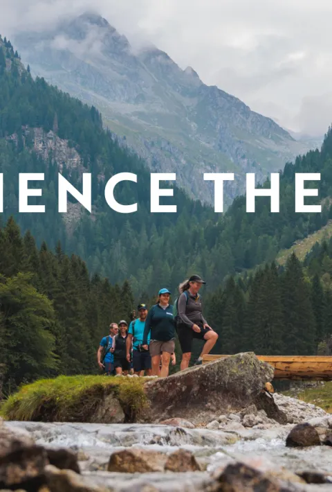 Experience the Magic