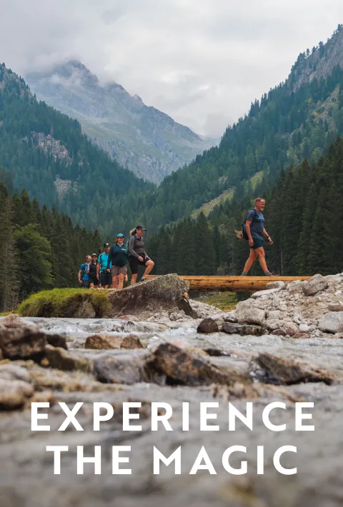 Experience the Magic