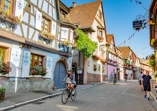 The Backroads Experience 