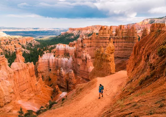 Aerial view of canyon