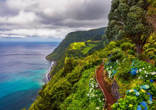View of flowers on a mountain and the ocean in Miradouro da Ponta do Sossego Nordeste, Sao Miguel, Azores, Portugal. 