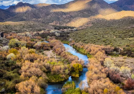wide shot of stream, bushes, desert plain, rolling hills.