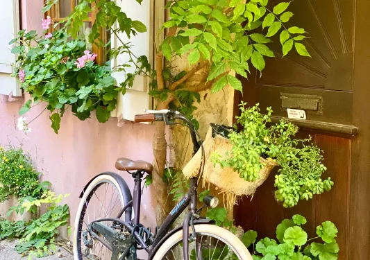Bike Leaning on Building in Alsace