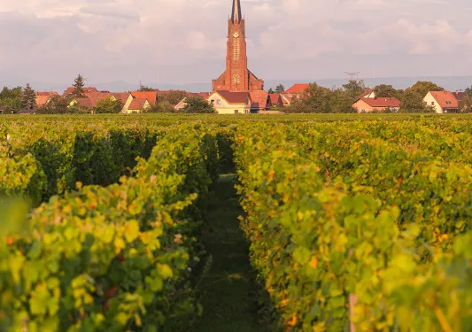 View of a Town from Cropland in Alsace