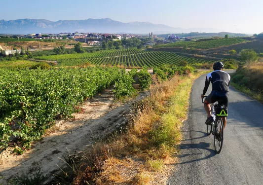 Backroads Guest Biking with Mountain, Town, and Vineyard View