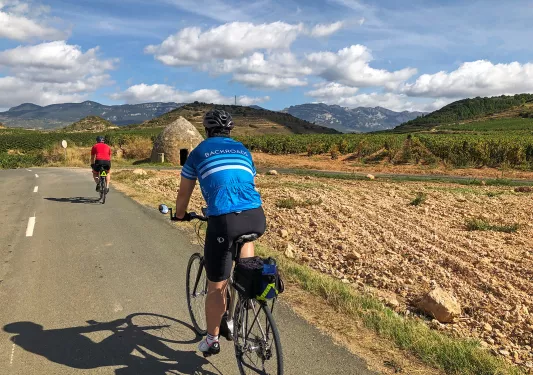 Backroads Guests Biking with Mountain View