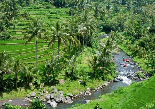 Guests rafting down river, forest, palm trees, grasslands surrounding.