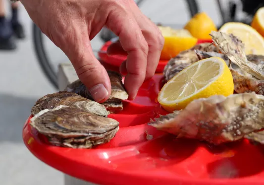 Oysters in Brittany/Normandy