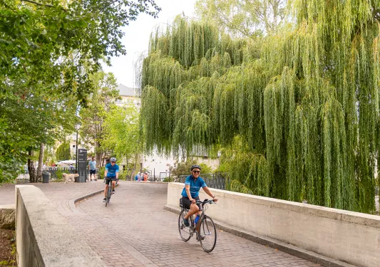 Backroads Guests Biking 