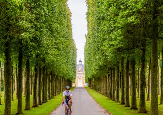 Backroads Guest Biking Through Tree Path