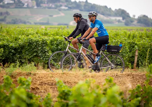 Two Backroads Guests Biking Between Fields