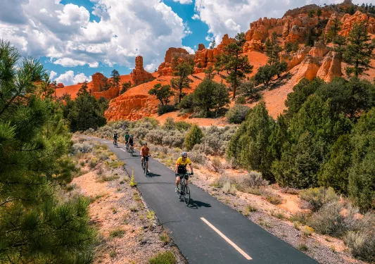 Five guests cycling down road, vibrant orange rocks behind them, trees beside them.
