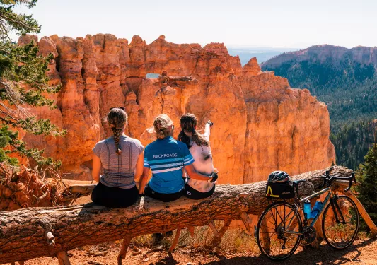 Three guests sitting on downed tree, over looking orange-rock valley, cliffside.