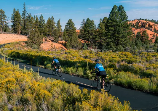 Biking through Bryce and Zion National Park