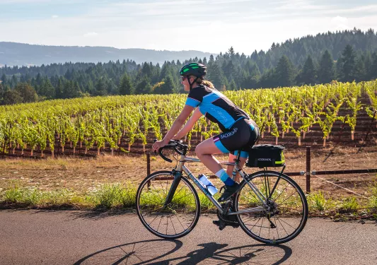 Guest cycling past young vineyard.