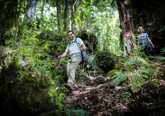 Two guests trekking though lush jungle.