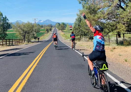 Four guests cycling down a road, vineyards to their left.