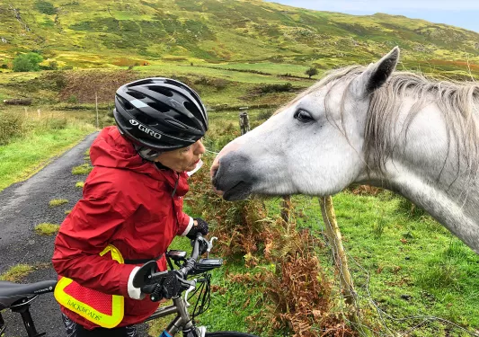 Guest Cyclist Talking to Horse Ireland