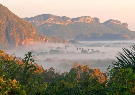 Fog Valley Floor Cuba