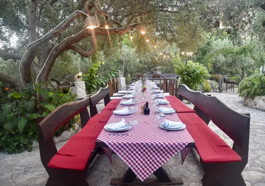 Shot of dinner table among low-hanging trees.