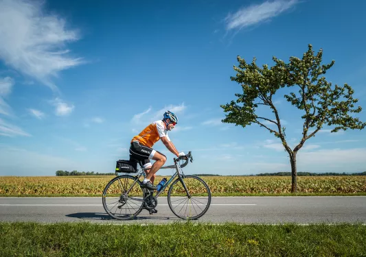 Biker riding on a clear sunny day with a field and a tree in background.